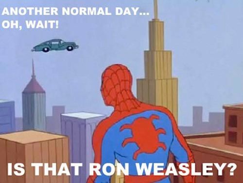 60s-spiderman-meme-ron-weasley_zps3b7f4611.jpg