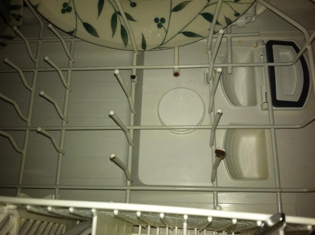 Sanitize bottles in dishwasher but... Community BeerAdvocate