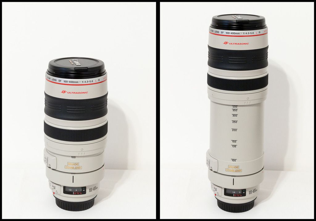 IMAGE: http://i1168.photobucket.com/albums/r483/lyssi4/Posts/100_400_lens1_zpsi4zxhf3u.jpg