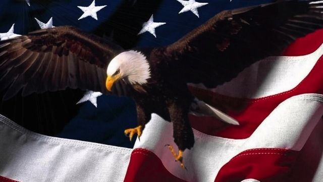 crop-patriotic-eagle-american-flag-backg