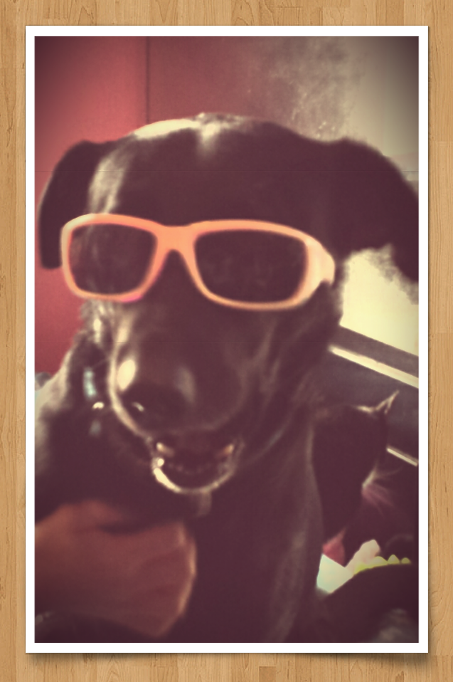  photo 20151231_152819_zpsv2unnsjf.png