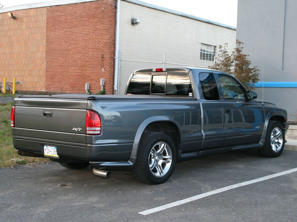 custom stampede body