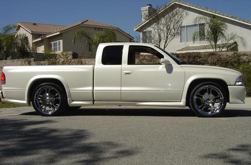 custom stampede body