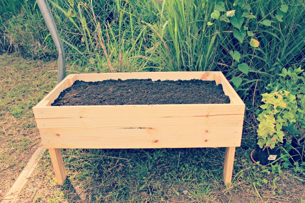 How to Build a Raised Garden Box