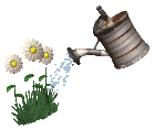  photo watering_flowers_lc.gif