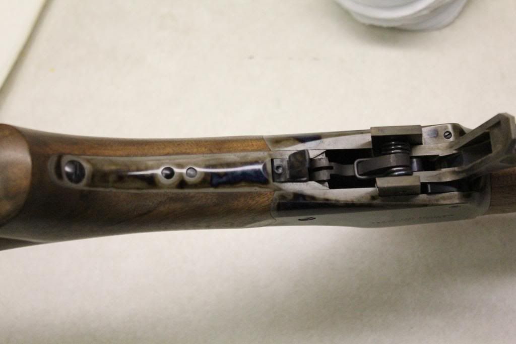 [Image: IMG_4839_zpsa634fd62.jpg]