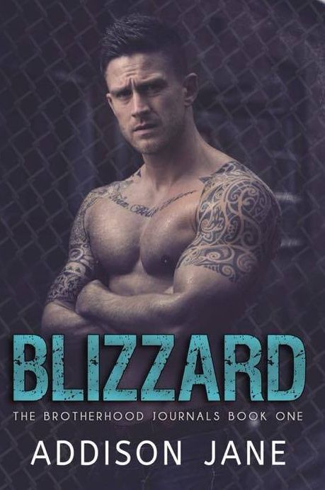  photo Blizzard-ebook_zpsemast2rw.jpg