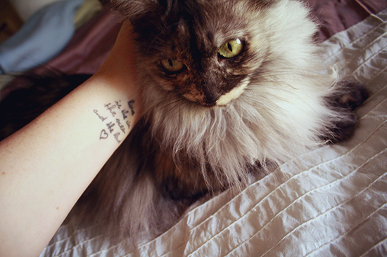 photo 2pm_zps4wlw3dup.png