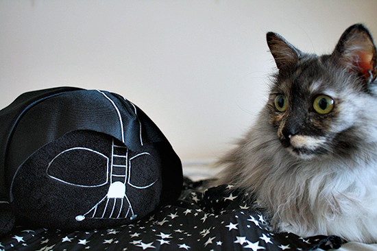 photo vaderampkitty_zpsusnypywg.png