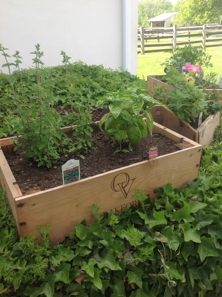 Challenge for Everyone - Picture a Day - Page 133