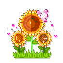 th_tournesols2_zps253c72ab.gif