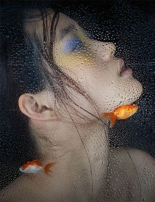  photo underwater-beauty-shot-by-gary-heery-4_zpsvfgqc1tu.jpg