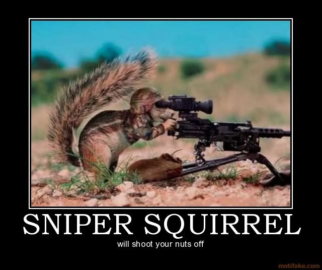 photo sniper-squirrel-sniper-squirrel-dem_zpsa9dbdcbe.jpg