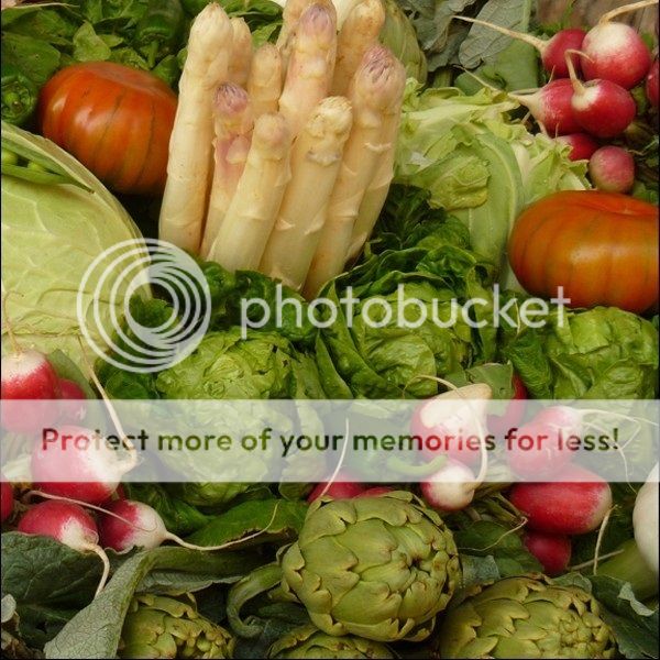  photo pack-verduras-navarras-temporada_zpstys5x9lx.jpg