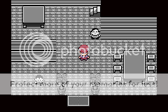 Pokémon Sinnoh Legacy BETA 2.0 Out Now!